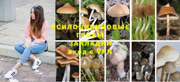 прущая мука Абинск