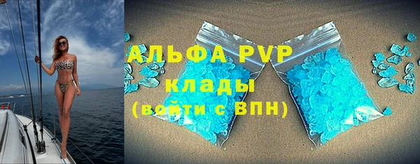 PSILOCYBIN Абдулино