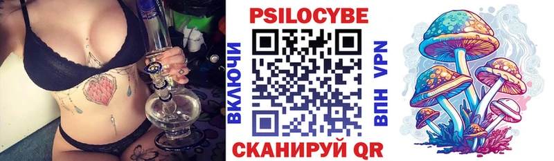 даркнет телеграм  Ядрин  Псилоцибиновые грибы MAGIC MUSHROOMS  как найти  